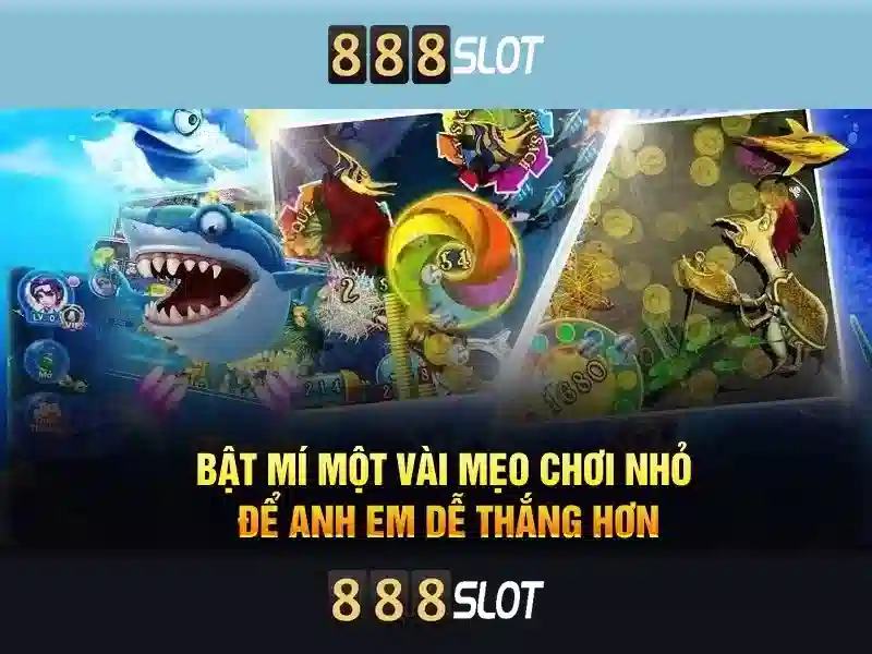 trải nghiệm cá cược