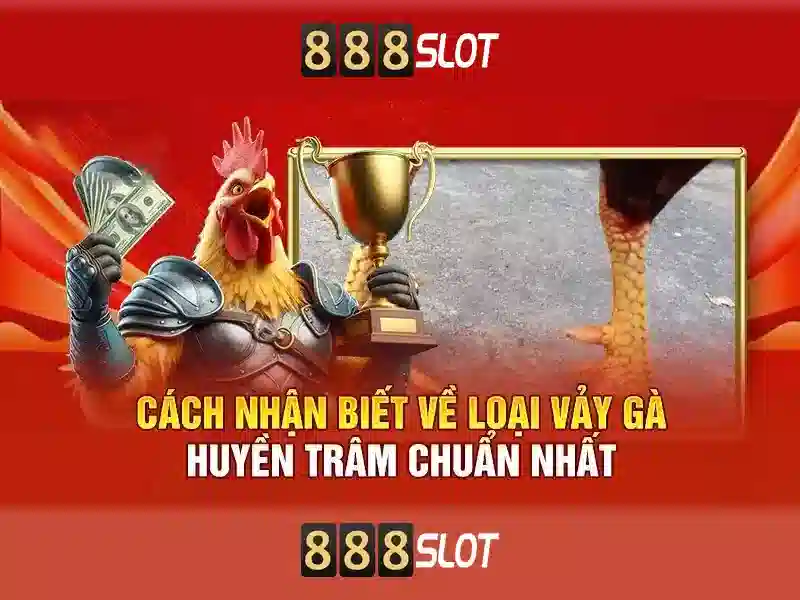 Khuyến Mãi Độc Quyền Cho Thành Viên