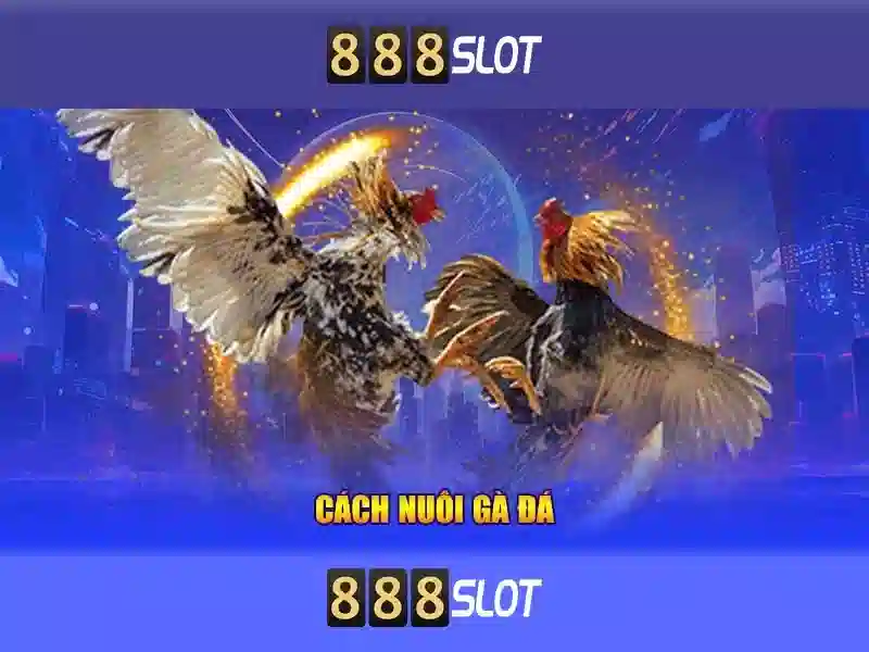 Trải Nghiệm Thật Sự Đỉnh Cao Với 888SLOT