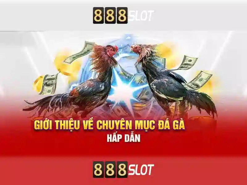 Trải nghiệm Slot độc quyền 888 Slot 77