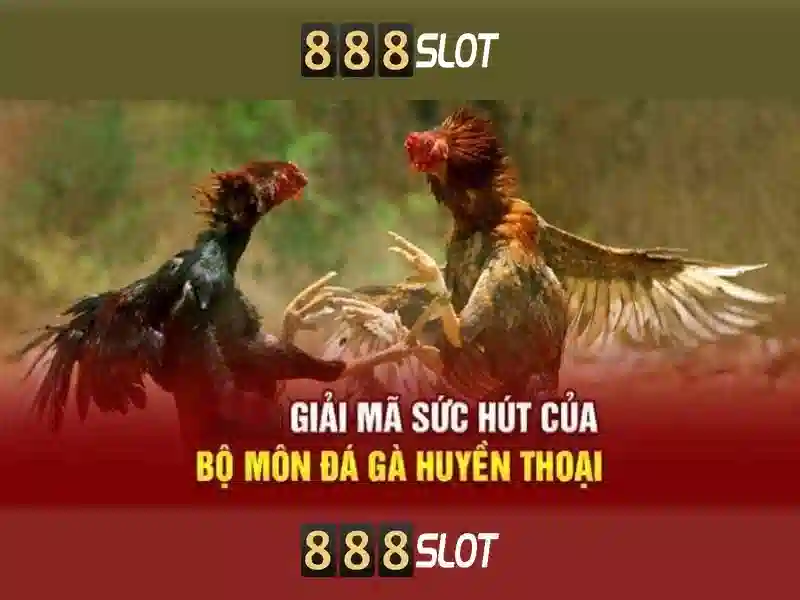 888SLOT Trải Nghiệm Game Slot 24/7 Không Gián Đoạn