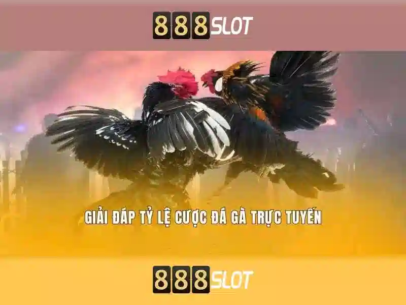 Trải nghiệm cá cược trực tuyến đỉnh cao 888SLOT