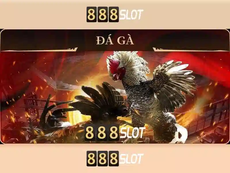 Lý Do Chọn 888SLOT