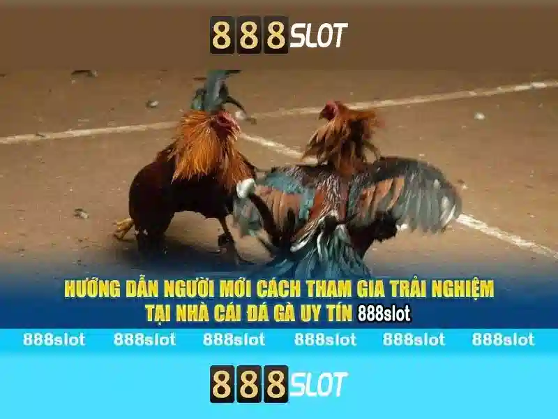 Http 888slot Cc
