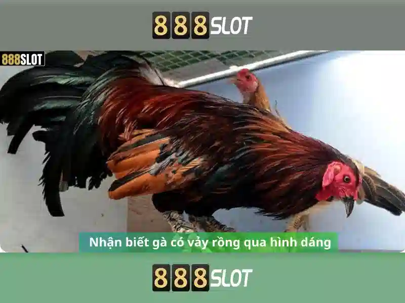 Trải nghiệm chơi slot