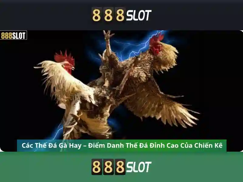 Ưu điểm chơi slot tại 888slot cc