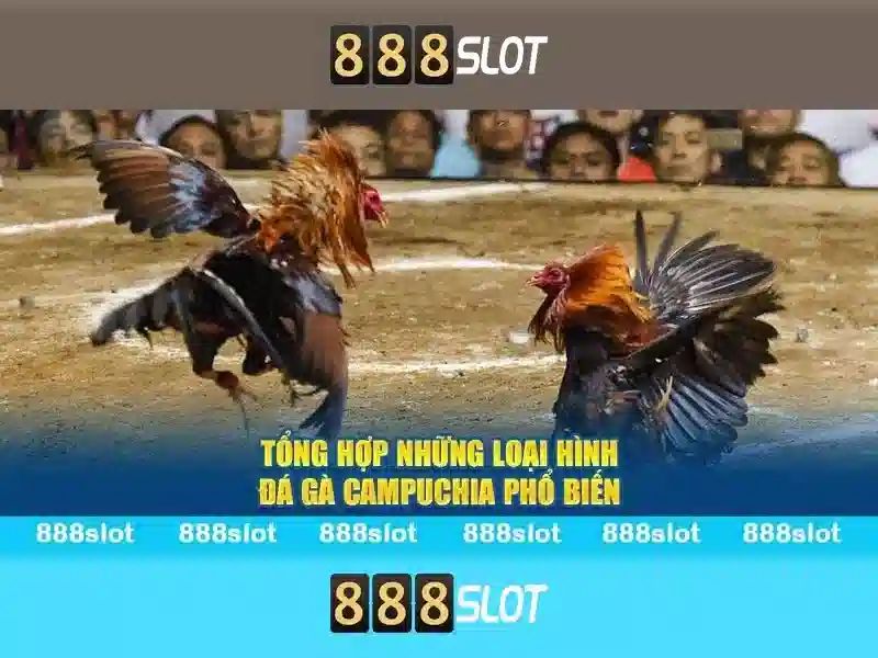 Tính Năng Nổi Bật