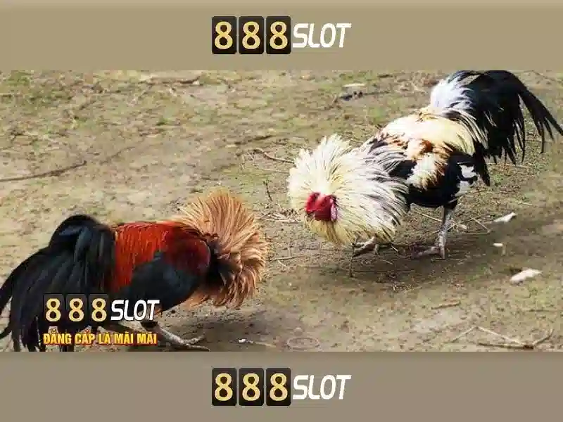 Ưu Điểm Nổi Bật Của Game 888 Slot