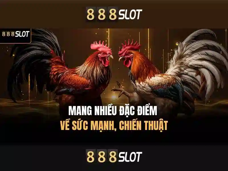 Trải Nghiệm Game Slot Trên 888slot Apk 2026