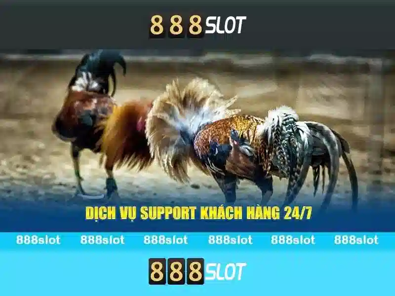 888SLOT – Trải Nghiệm Slot Đỉnh Cao Không Lừa Đảo 2026