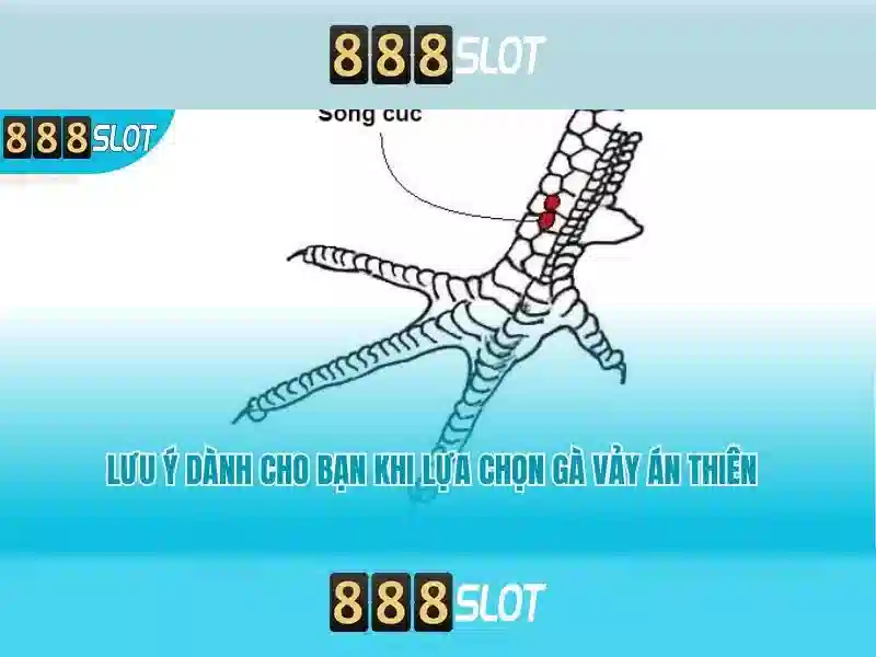 Trải Nghiệm Slot Miễn Phí