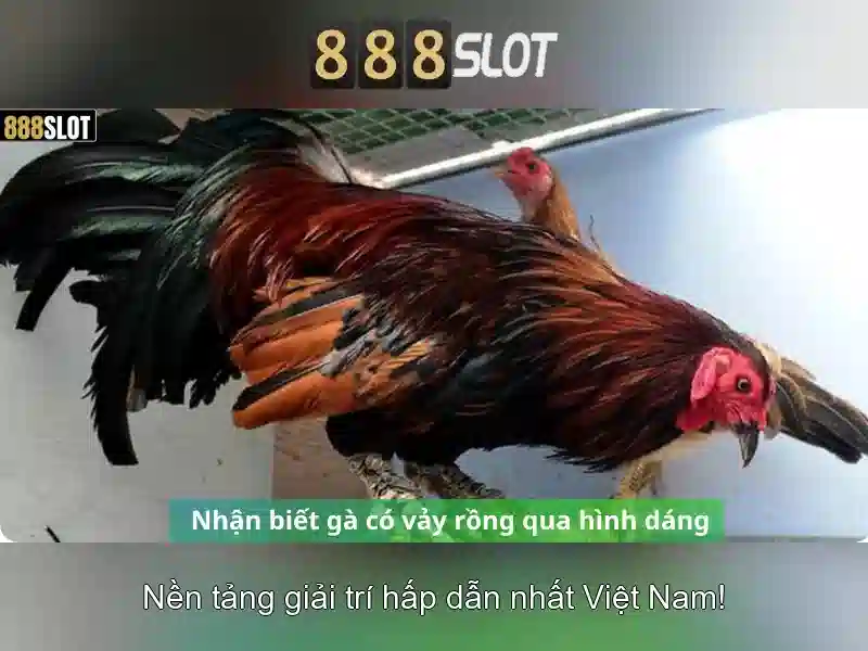 Hệ Thống Trò Chơi Slot Đa Dạng