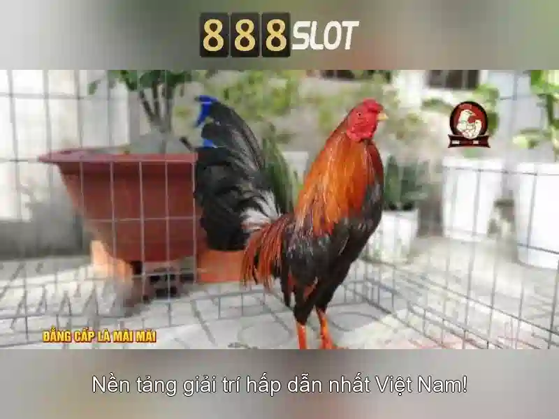 Hệ Thống Slot 888slot Dewa