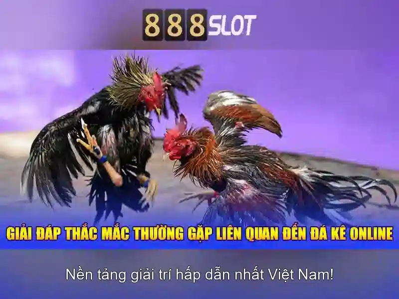 Giải Trí Slot 888slot
