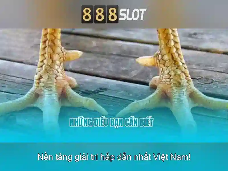 Tải App 888slot Miễn Phí