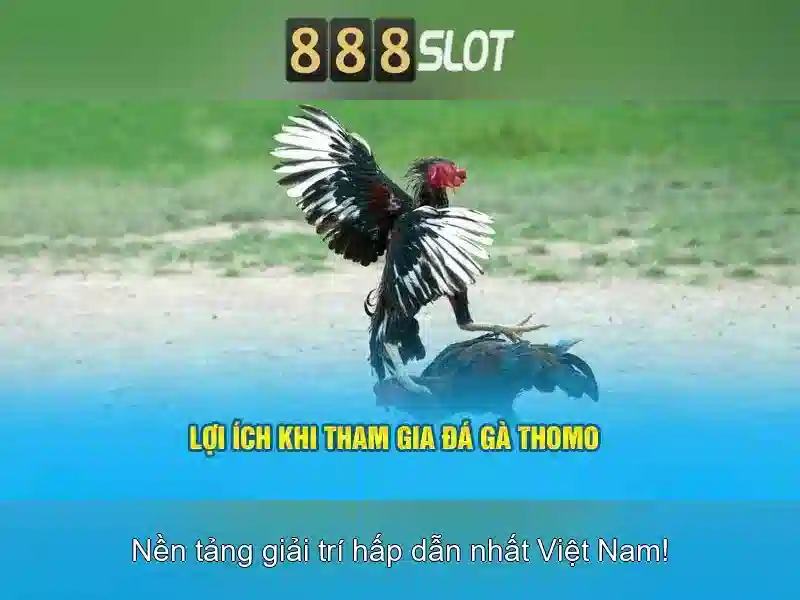 slot game 888SLOT