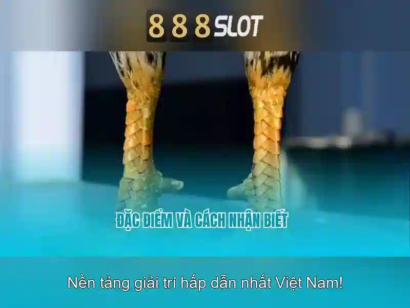 Trải nghiệm 888slot app