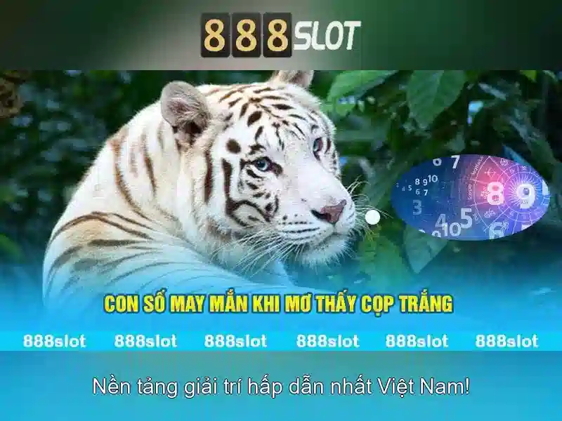 Các Loại Slot Được Yêu Thích Nhất