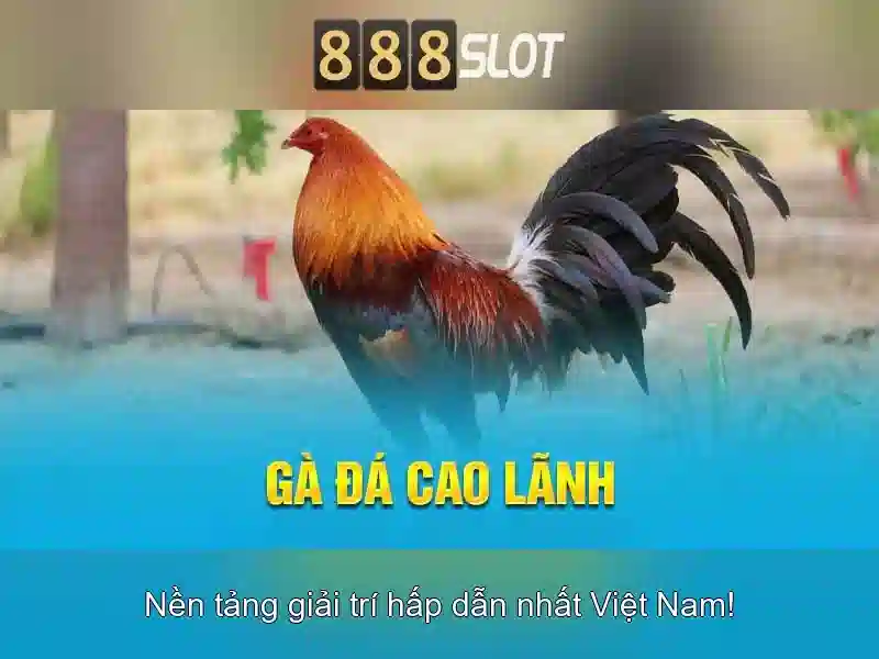 cách tham gia casino online