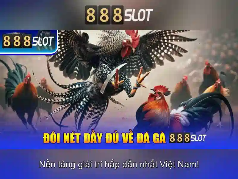 Tính năng nổi bật