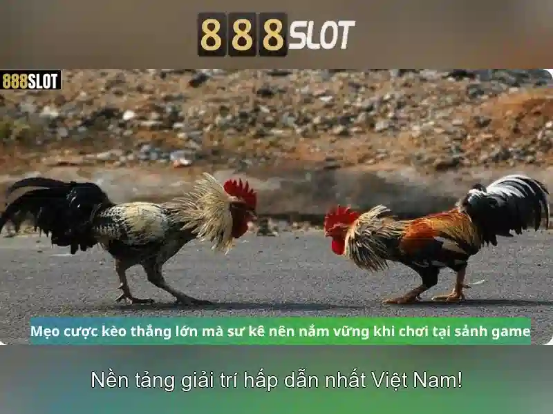 Trải nghiệm đỉnh cao