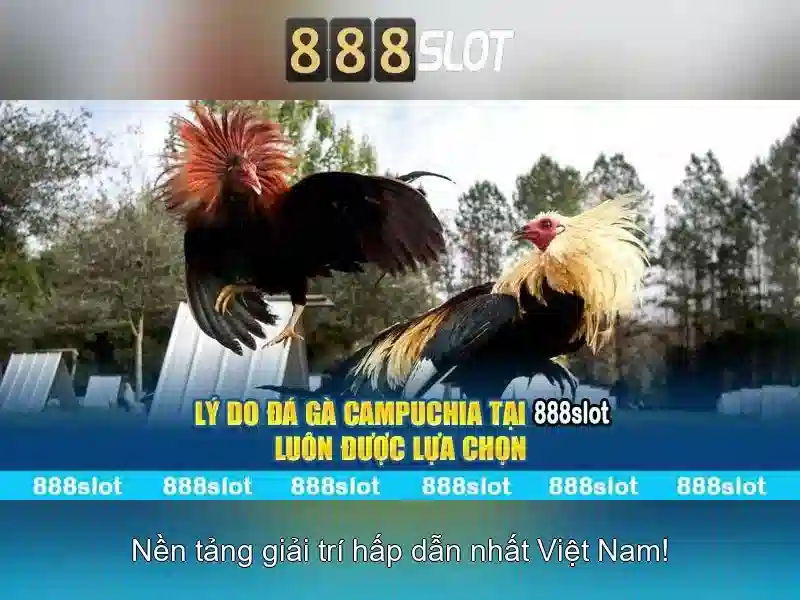 Khuyến Mãi Độc Quyền